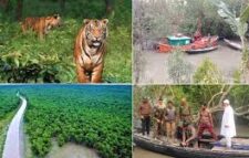 সুন্দরবনে জলবায়ুর কষাঘাত, বিপন্ন উপকূলের জীবন ৩০ বছরে কমেছে ফসলি জমি, বাড়ছে লবণাক্ততা ও অনাবাদি জমি