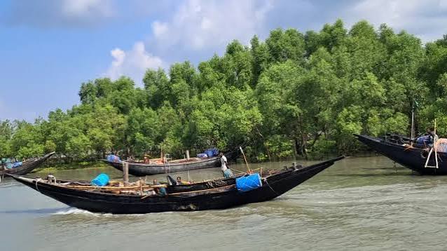 সুন্দরবনের অভয়ারণ্যে মাছ ধরায় ১২ জেলে আটক