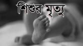 দোয়ারাবাজারে ডোবার পানিতে ডুবে ২৩ মাসের শিশুর মৃত্যু